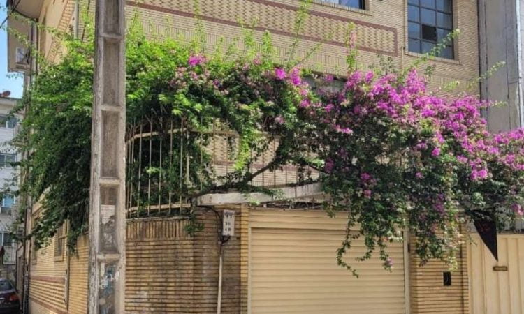 فروش زمین در گلسار رشت
