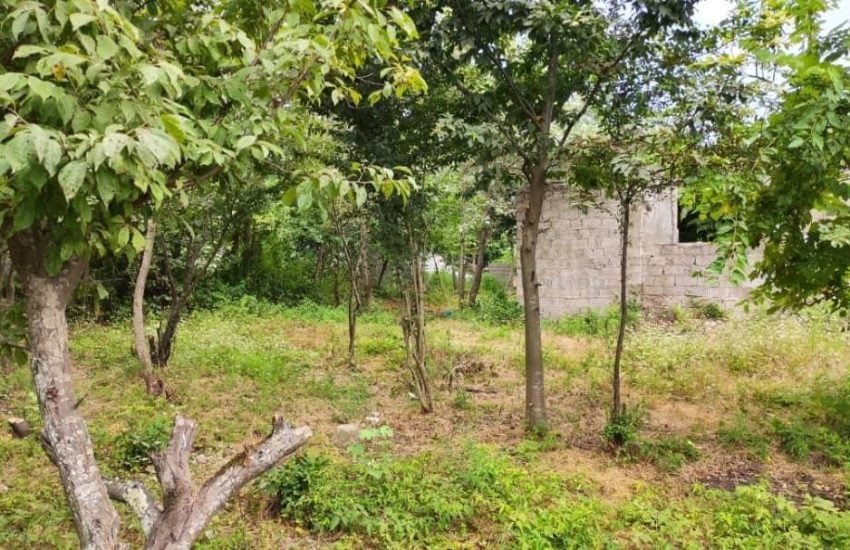 فروش زمین با کاربری مسکونی در رشت