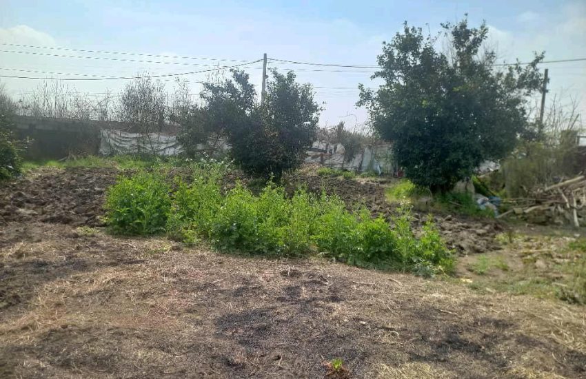 فروش زمین مسکونی و سند دار در رشت