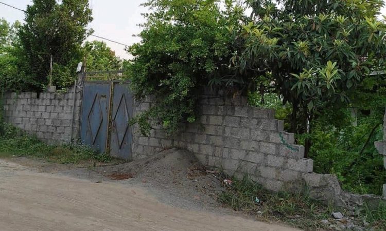 فروش زمین 309 متری در رشت
