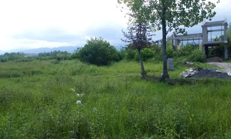 فروش زمین 5000 متری در پره سر گیلان